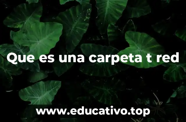 Que es una carpeta t red