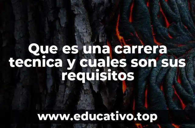 Que es una carrera tecnica y cuales son sus requisitos