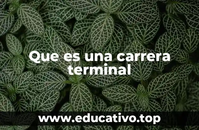 Que es una carrera terminal