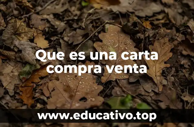 Que es una carta compra venta