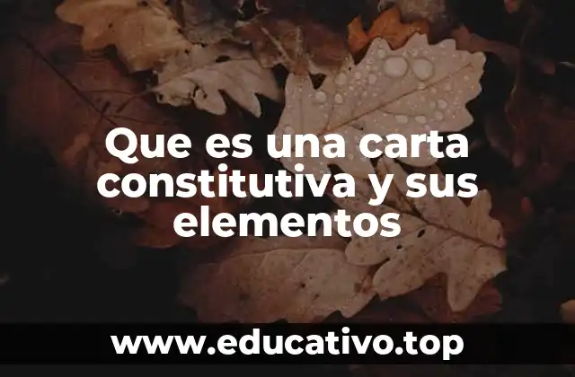 Que es una carta constitutiva y sus elementos