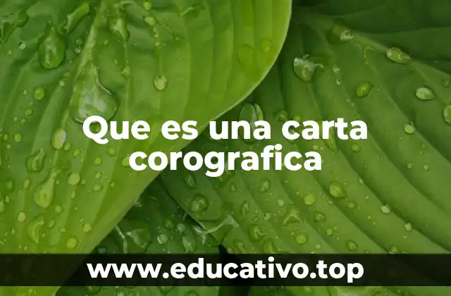 Que es una carta corografica