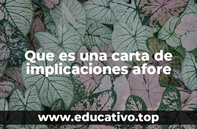 Que es una carta de implicaciones afore