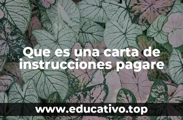 Que es una carta de instrucciones pagare