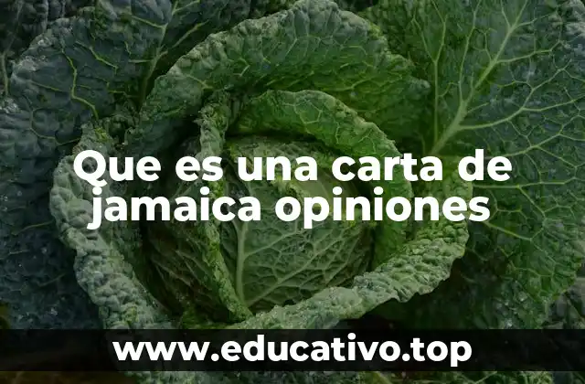 Que es una carta de jamaica opiniones