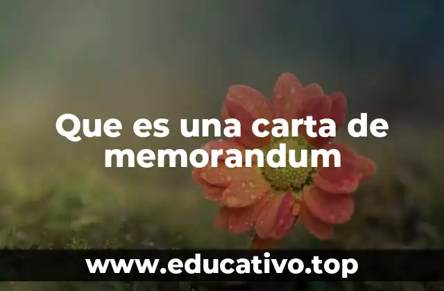 Que es una carta de memorandum