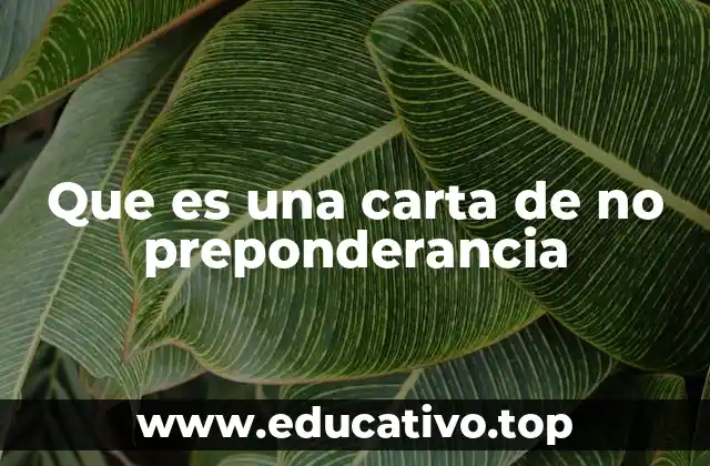 Que es una carta de no preponderancia