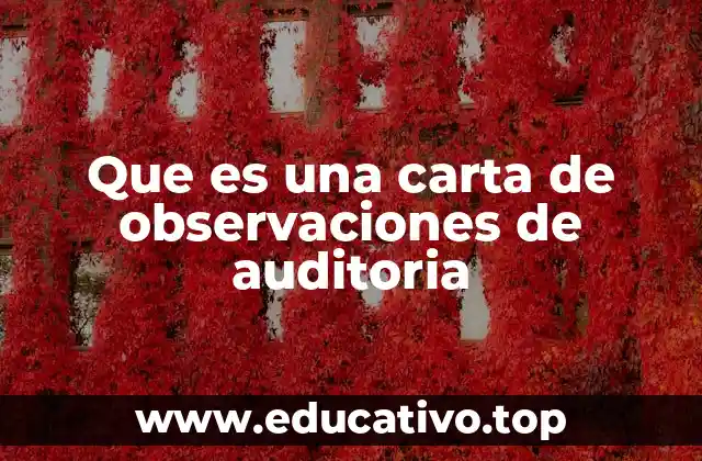 Que es una carta de observaciones de auditoria