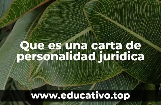 Que es una carta de personalidad juridica