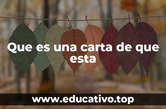 Que es una carta de que esta