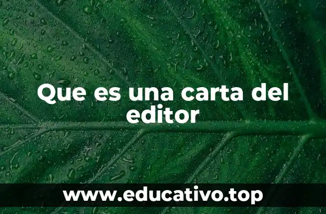 Que es una carta del editor