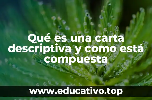 Qué es una carta descriptiva y como está compuesta