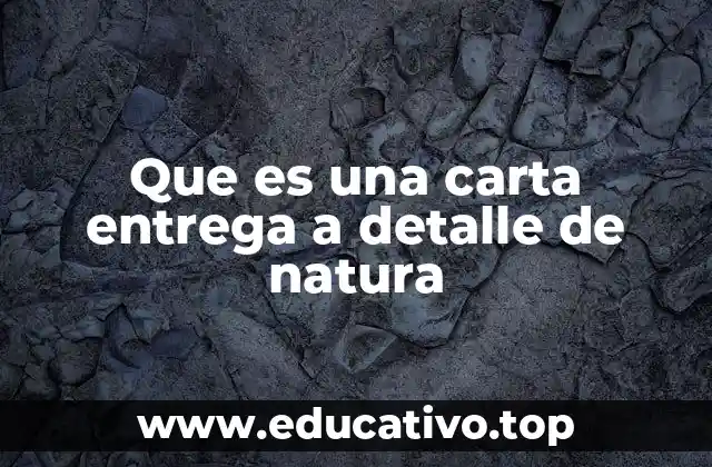 Que es una carta entrega a detalle de natura
