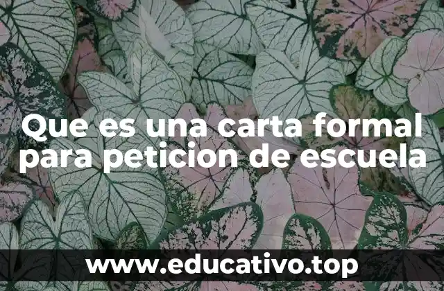 Que es una carta formal para peticion de escuela