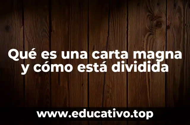 Qué es una carta magna y cómo está dividida