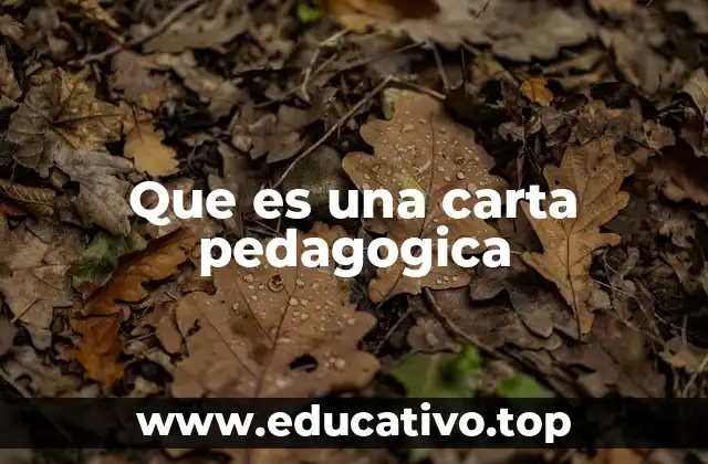 Que es una carta pedagogica