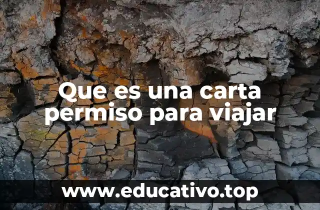 Que es una carta permiso para viajar