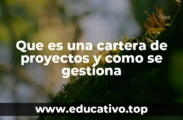 Que es una cartera de proyectos y como se gestiona
