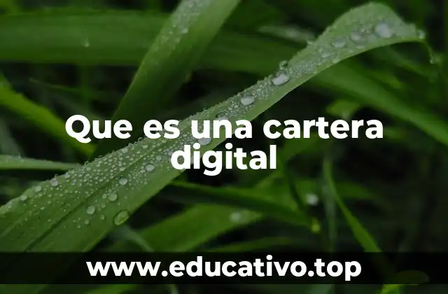 Que es una cartera digital