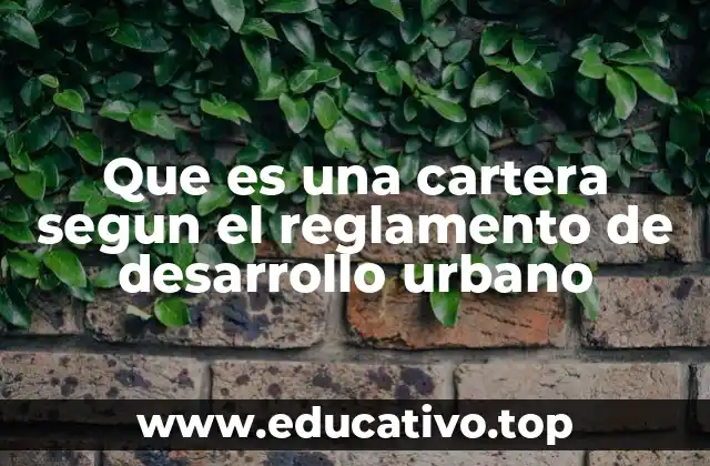 Que es una cartera segun el reglamento de desarrollo urbano