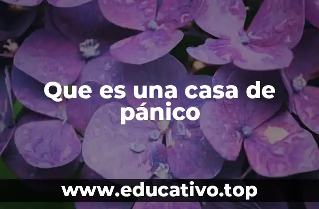 Que es una casa de pánico