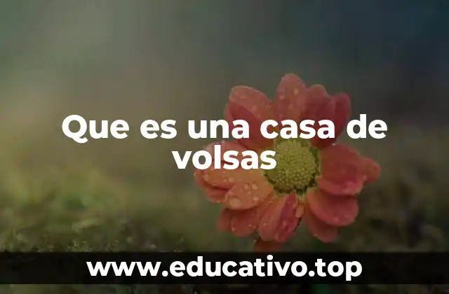 Que es una casa de volsas