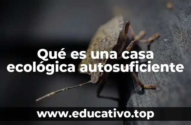 Qué es una casa ecológica autosuficiente