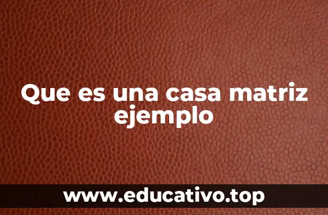 Que es una casa matriz ejemplo
