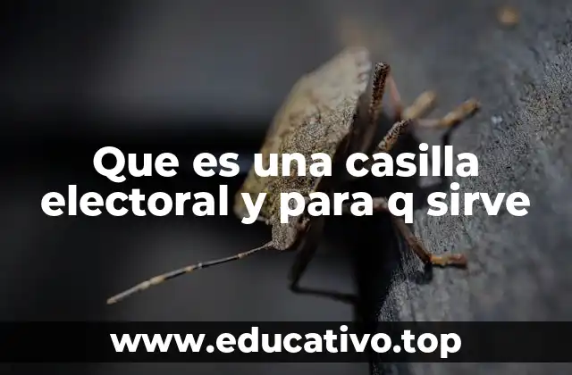 Que es una casilla electoral y para q sirve