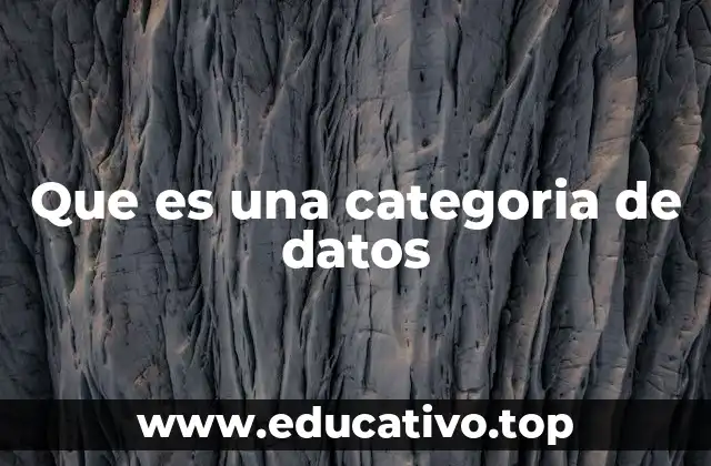 Que es una categoria de datos