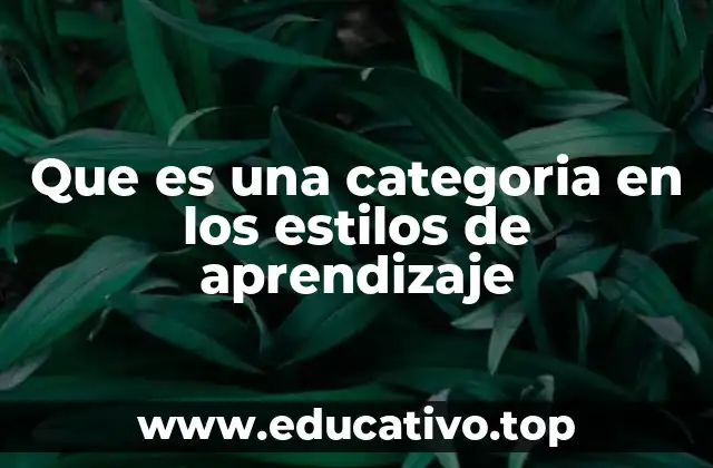 Que es una categoria en los estilos de aprendizaje