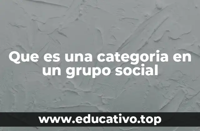 Que es una categoria en un grupo social