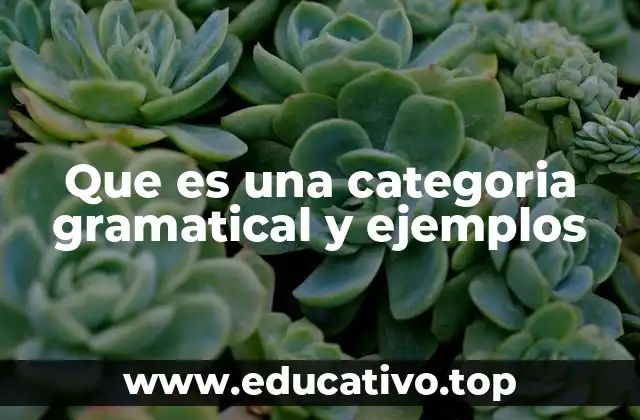 Que es una categoria gramatical y ejemplos