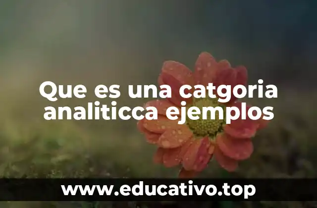 Que es una catgoria analiticca ejemplos