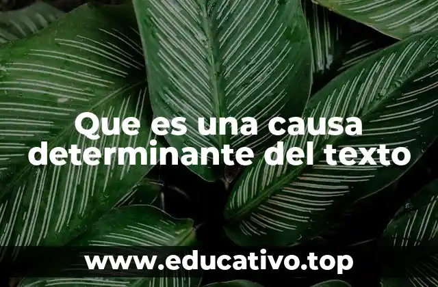 Que es una causa determinante del texto