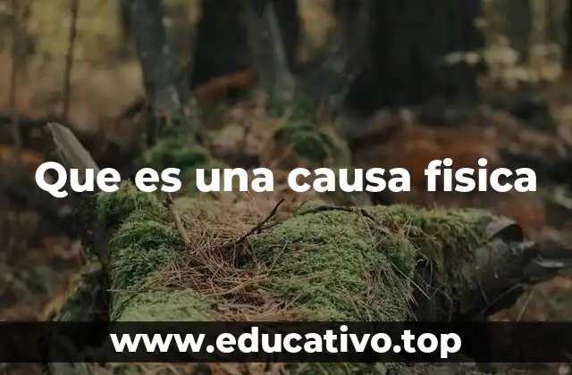 Que es una causa fisica