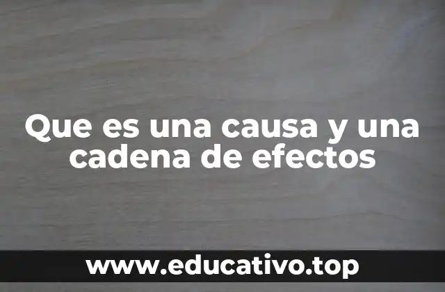 La importancia de entender relaciones causales en la vida cotidiana