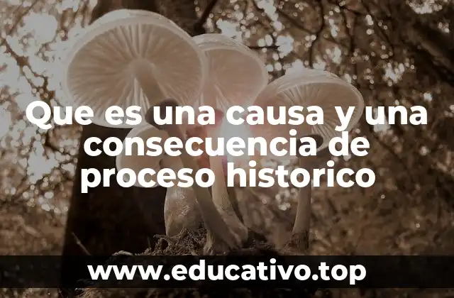 Cómo las causas y consecuencias estructuran la narración histórica