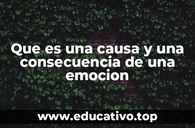 Que es una causa y una consecuencia de una emocion