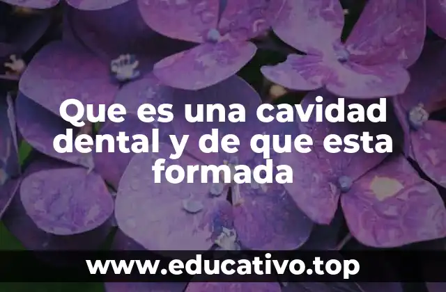 Que es una cavidad dental y de que esta formada