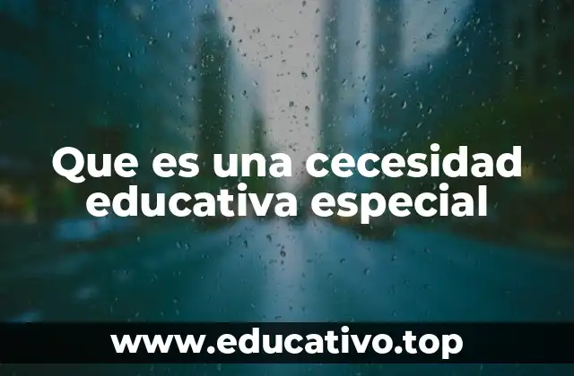 Que es una cecesidad educativa especial