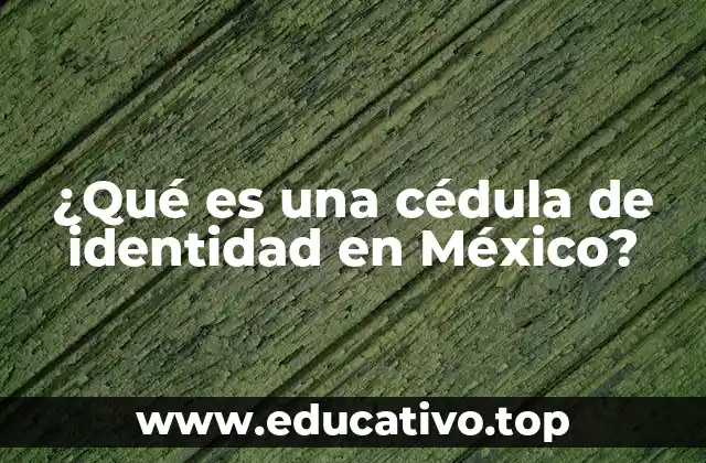 ¿Qué es una cédula de identidad en México?