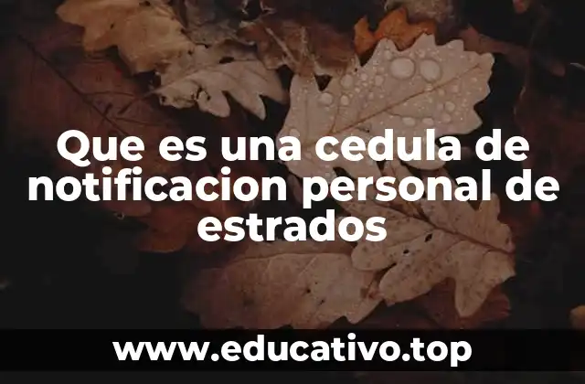 Que es una cedula de notificacion personal de estrados