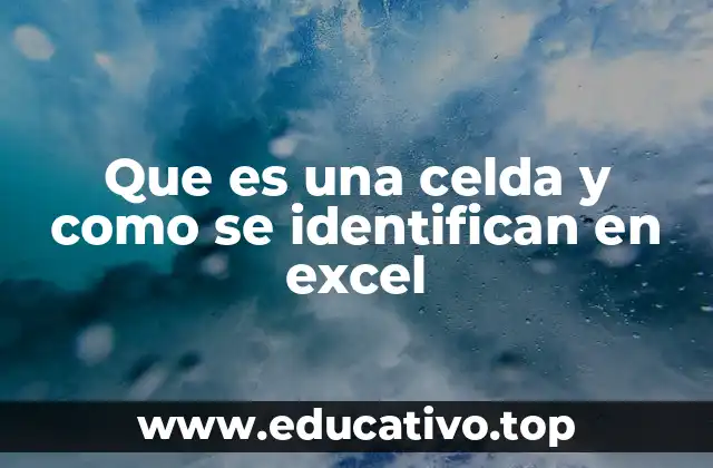 Que es una celda y como se identifican en excel