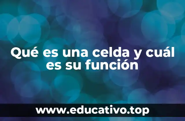 Qué es una celda y cuál es su función