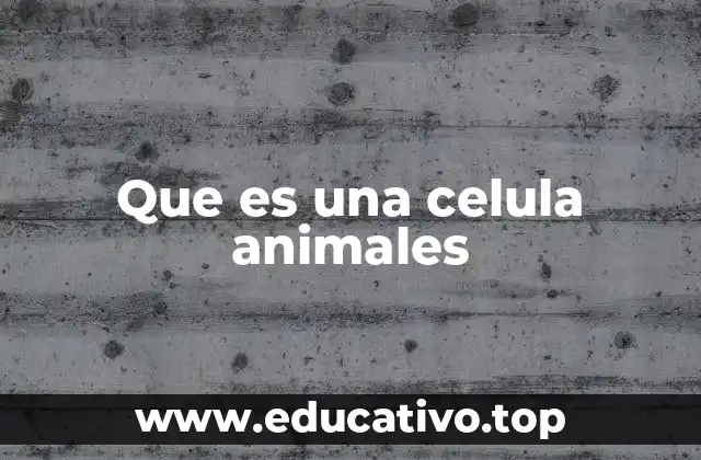 Que es una celula animales