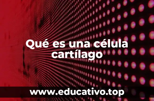 Qué es una célula cartílago