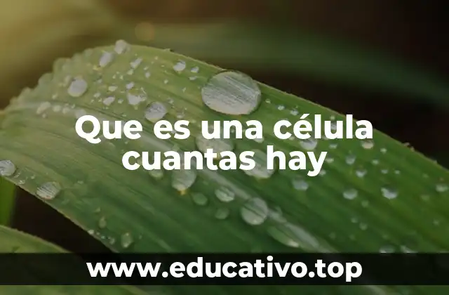 Que es una célula cuantas hay
