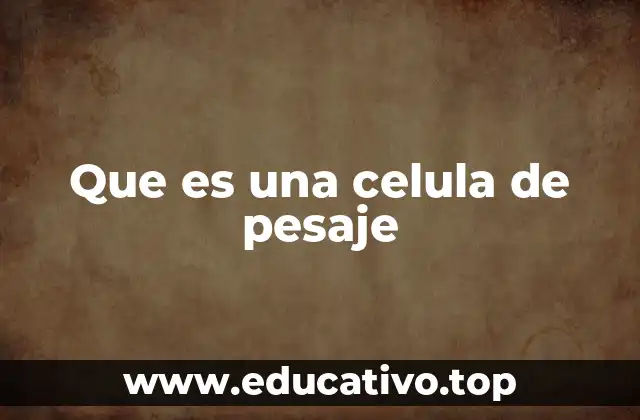 Que es una celula de pesaje