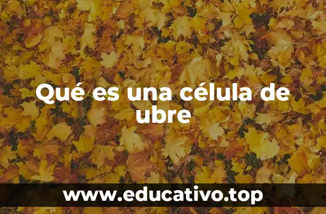 Qué es una célula de ubre
